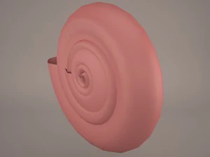 seashell nautilus 3D Model