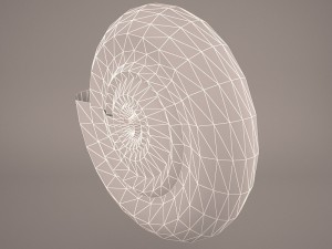 seashell nautilus Modelo 3D