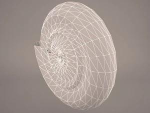 seashell nautilus 3D Model