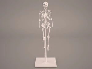 kerangka Model 3D
