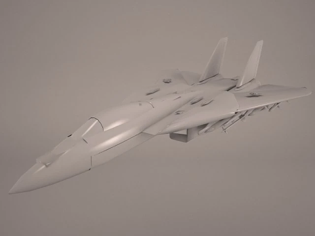 F14 tomcat 3D Model .c4d .max .obj .3ds .fbx .stl .blend 