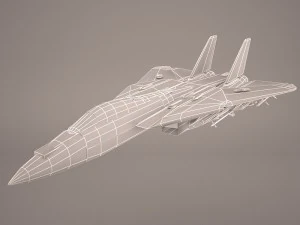 F14 tomcat 3D Model