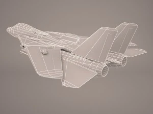 F14 tomcat 3D Model