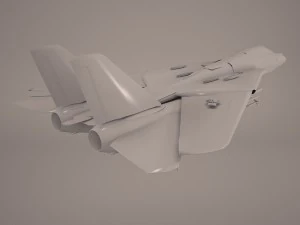 F14 tomcat 3D Model