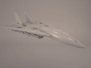 F14 tomcat 3D Model