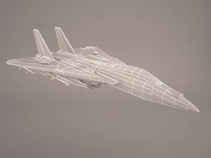 F14 tomcat 3D Model