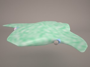 deep spacecraft 3D मॉडल