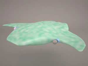 깊은 우주선 3D 모델