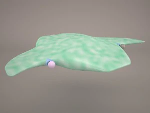 deep spacecraft 3D Model