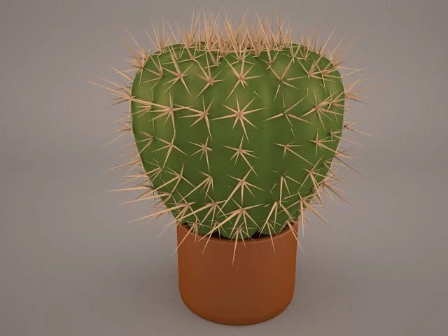 cactus lobivia famatimensis 3D Model .c4d .max .obj .3ds .fbx .stl .blend