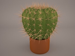 cactus lobivia famatimensis Model 3D