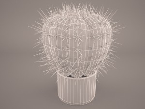 cactus lobivia famatimensis Modelo 3D