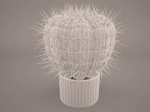 cactus lobivia famatimensis 3D Model