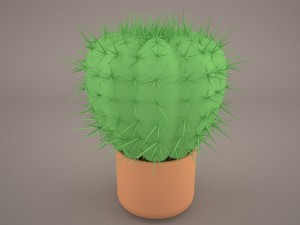 cactus lobivia famatimensis 3D-Modell