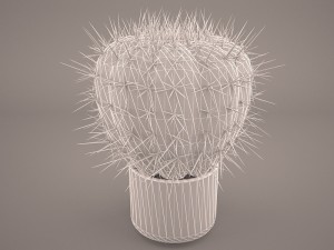 cactus lobivia famatimensis Modelo 3D