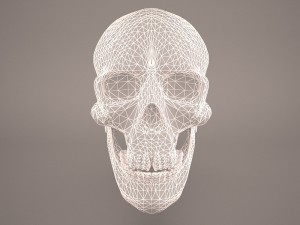 skull 3D-Modell