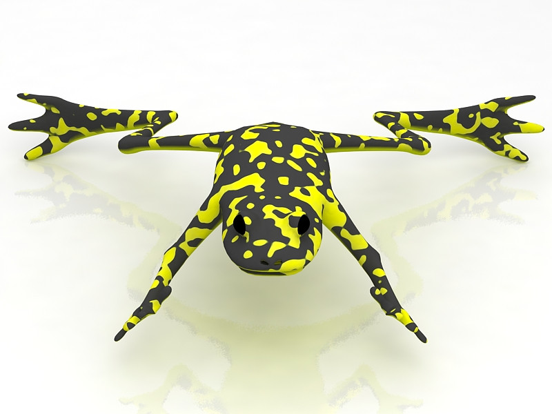 Grenouille Modèle 3D .c4d .max .obj .3ds .fbx .stl .blend 