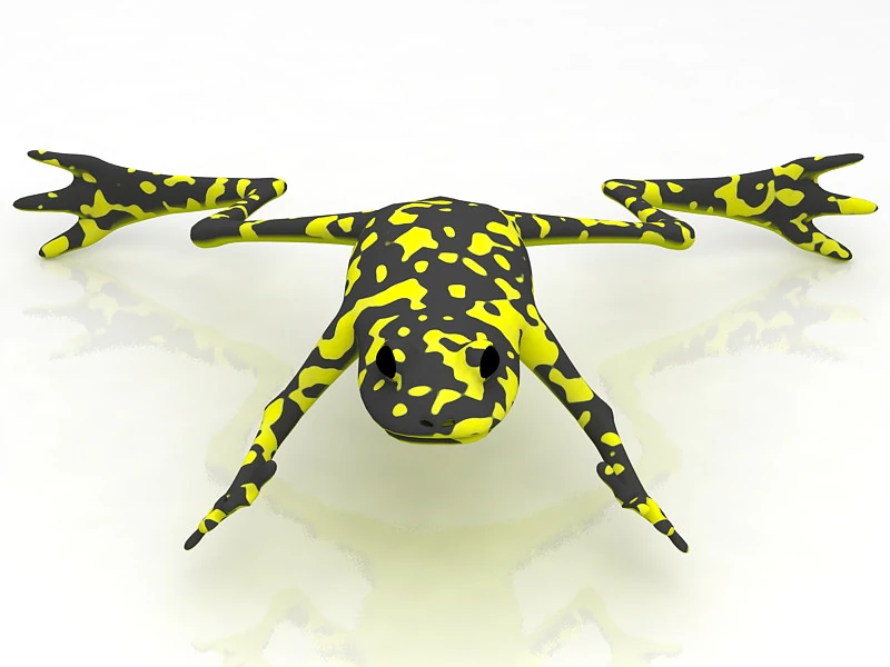 Frog 3D Model .c4d .max .obj .3ds .fbx .stl .blend 