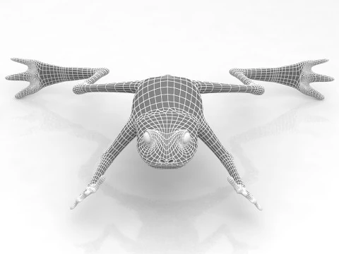 Frog 3D Model