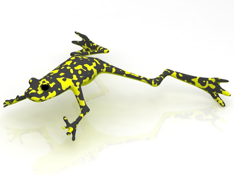 Grenouille Modèle 3D