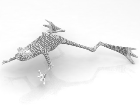 Grenouille Modèle 3D