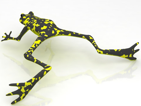 Grenouille Modèle 3D
