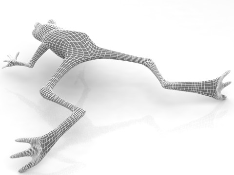 Grenouille Modèle 3D