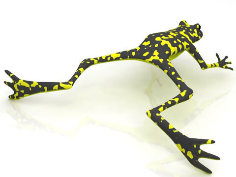 Grenouille Modèle 3D
