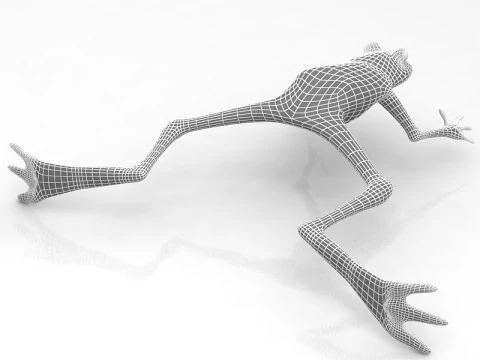 Frog 3D Model
