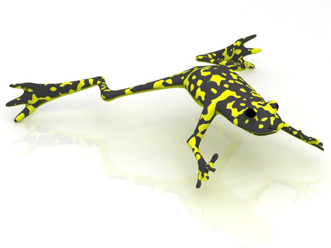 Grenouille Modèle 3D