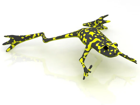 Frog 3D Model