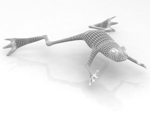 Grenouille Modèle 3D