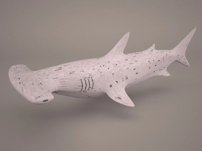 Great Hammerhead Shark 3D Model .c4d .max .obj .3ds .fbx .stl .blend