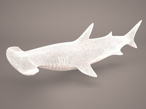 Grande squalo martello Modello 3D