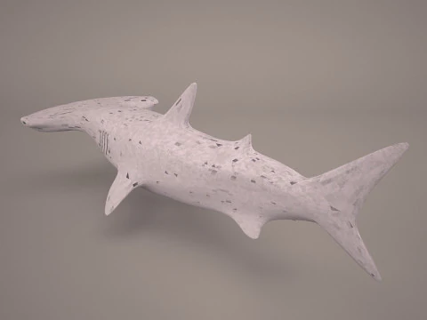 Great Hammerhead Shark 3D Model