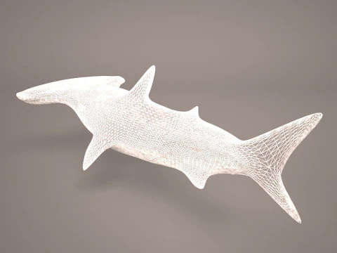 Great Hammerhead Shark 3D Model