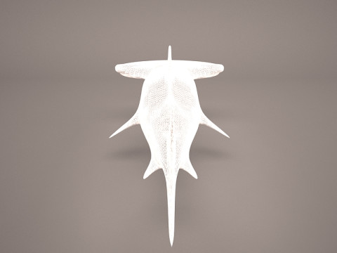 Grande squalo martello Modello 3D