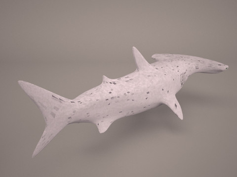 Grande squalo martello Modello 3D