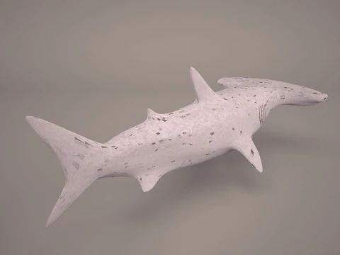Great Hammerhead Shark 3D Model