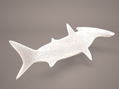 Grande squalo martello Modello 3D