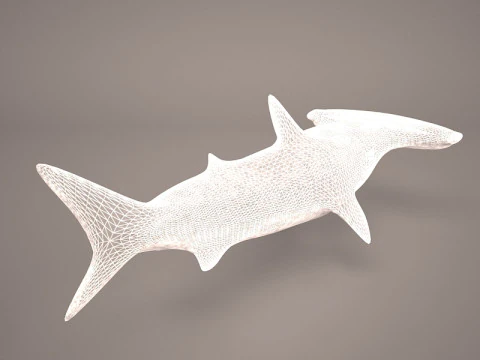 Great Hammerhead Shark 3D Model
