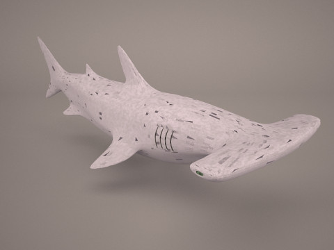 Grande squalo martello Modello 3D