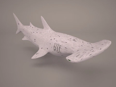 Great Hammerhead Shark 3D Model