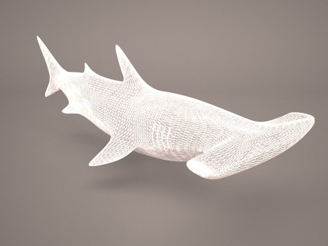 Grande squalo martello Modello 3D