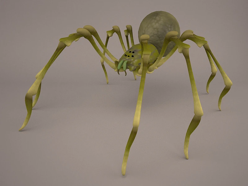 Lycosa Tarantula 3D Model .c4d .max .obj .3ds .fbx .stl .blend 