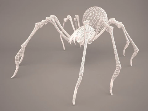 Lycosa Tarantula 3D Model