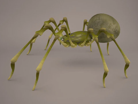 Lycosa Tarantula 3D Model