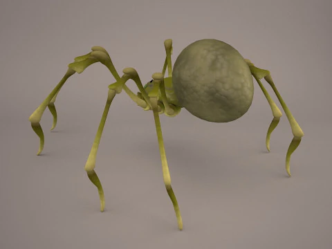 Lycosa Tarantula 3D Model