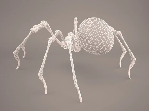 Lycosa Tarantula 3D Model