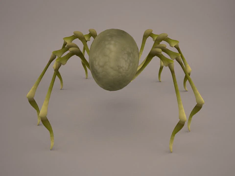 Lycosa Tarantula 3D Model